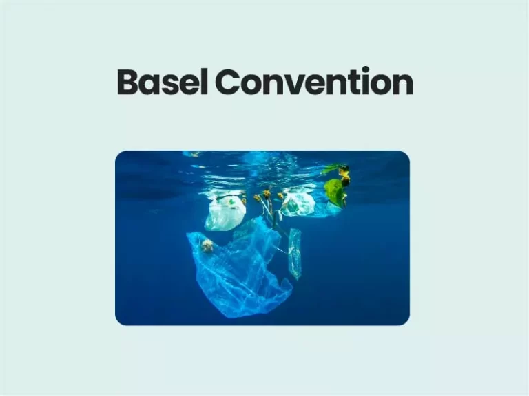 Basel Convention