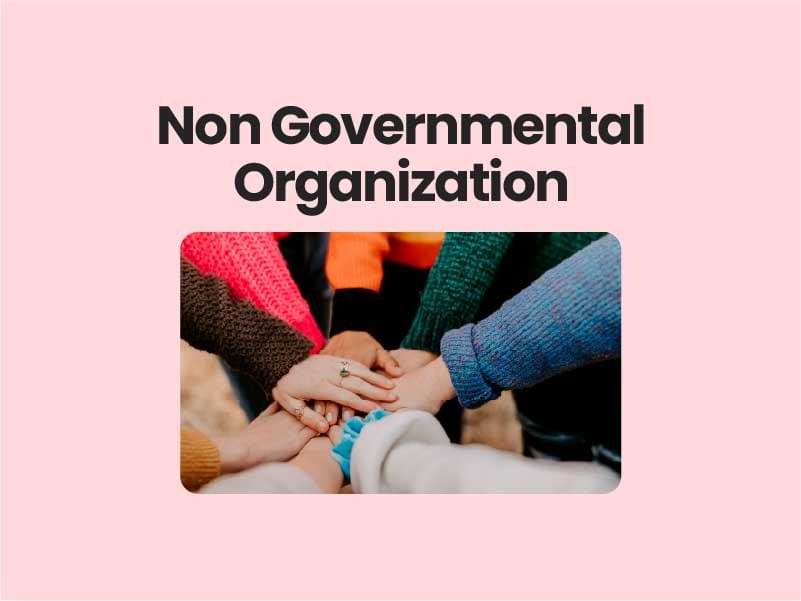 Non Governmental Organization