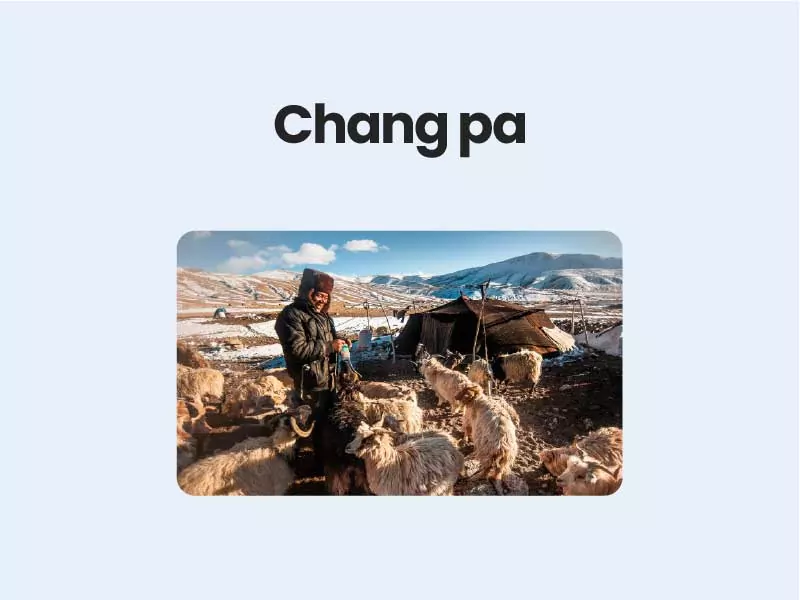 Chang pa