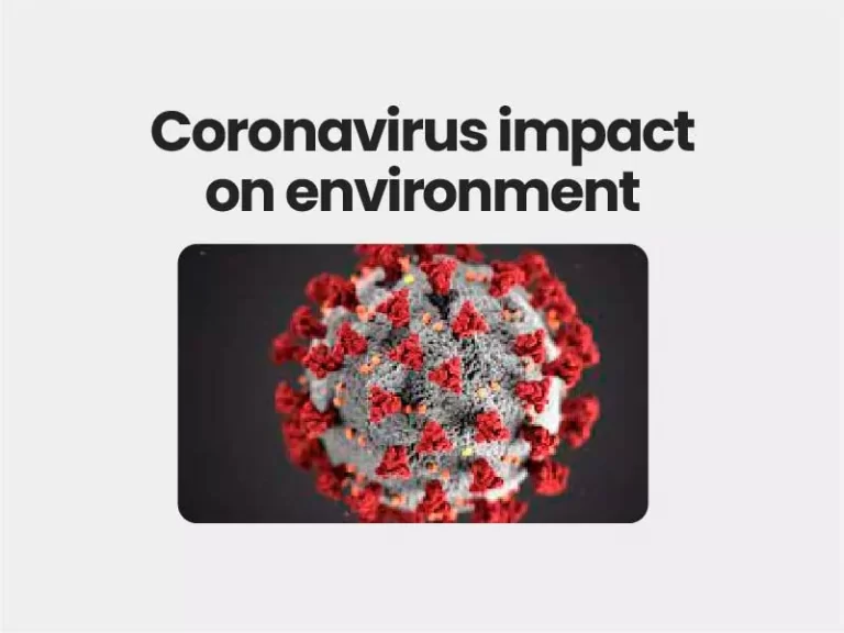 Coronavirus impact on environment