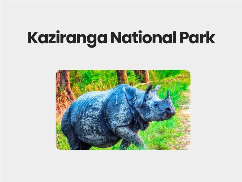 Kaziranga National Park | Civils360 IAS