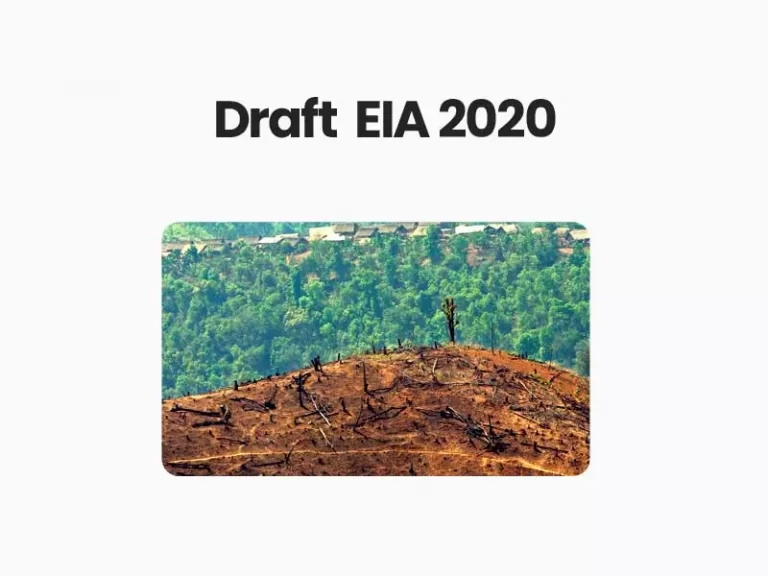 Draft Environment Impact Assessment