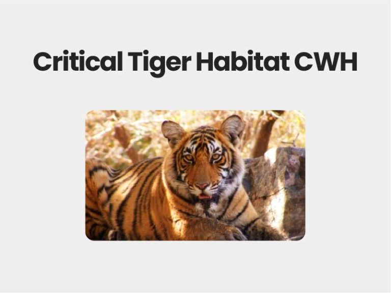 Critical Tiger Habitat CWH