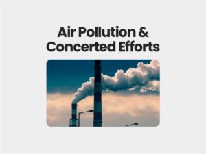 Air Pollution & Concerted Efforts 