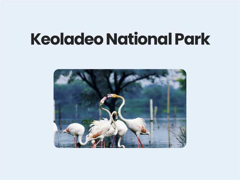 Keoladeo National Park | Civils360 IAS