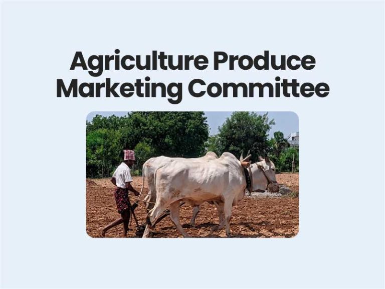 Agriculture Produce Marketing Committee UPSC
