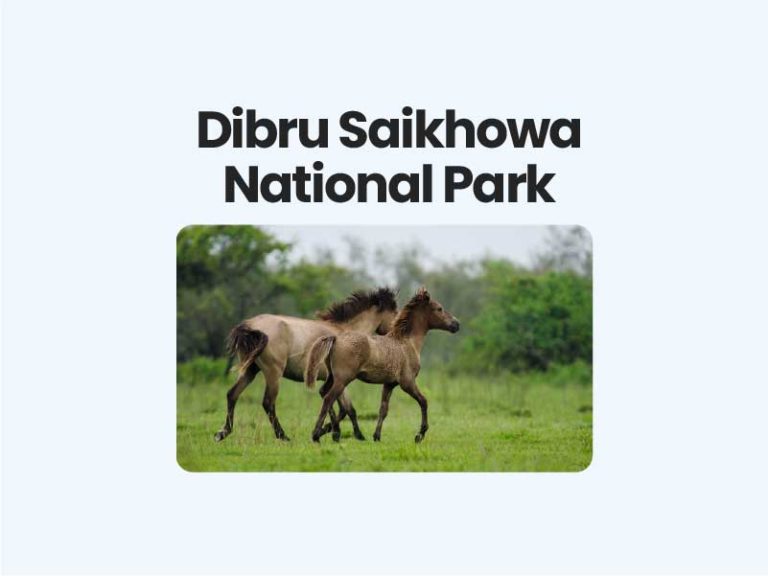 Dibru Saikhowa National Park UPSC