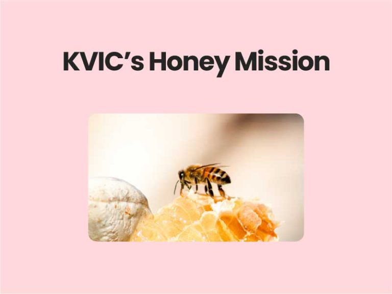 KVIC’s Honey Mission