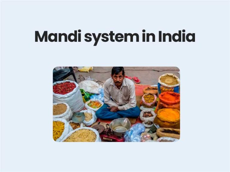 Mandi system in India