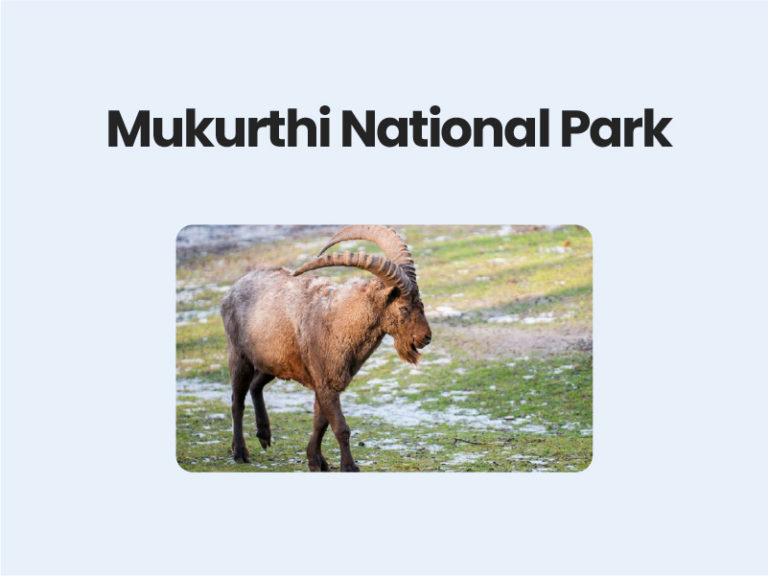 Mukurthi National Park UPSC