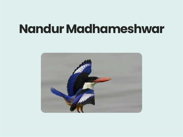 Nandur Madhameshwar