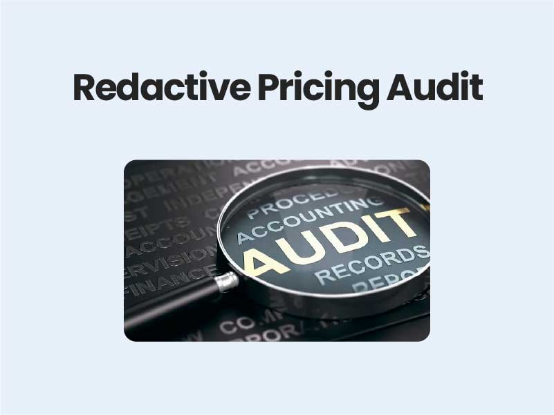 Redactive Pricing Audit