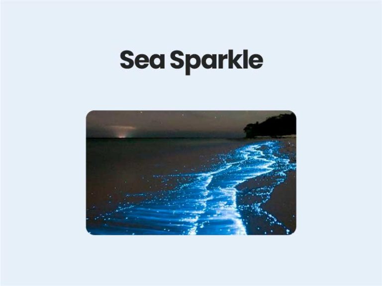 Sea Sparkle UPSC