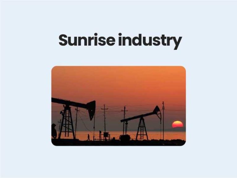 Define Sunrise Industry In Business