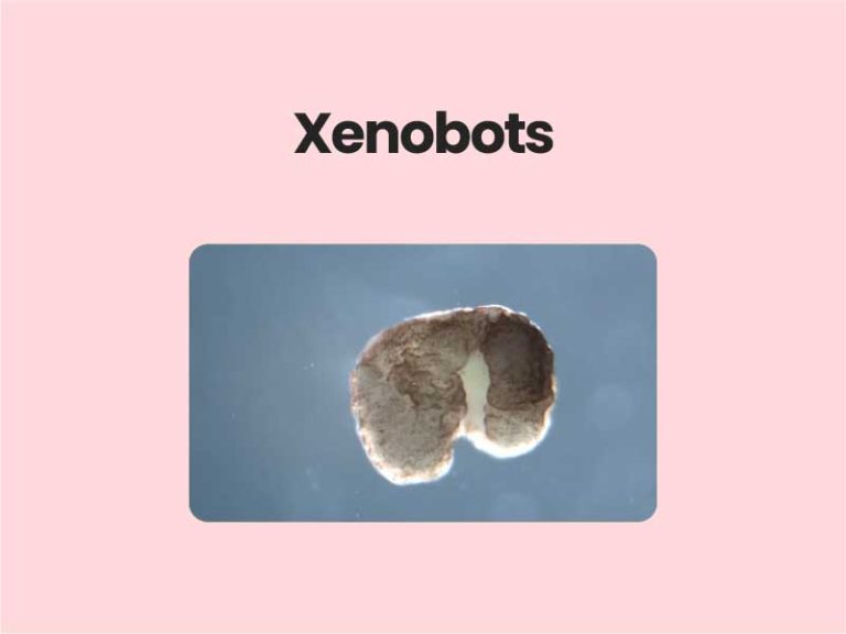 Xenobots UPSC