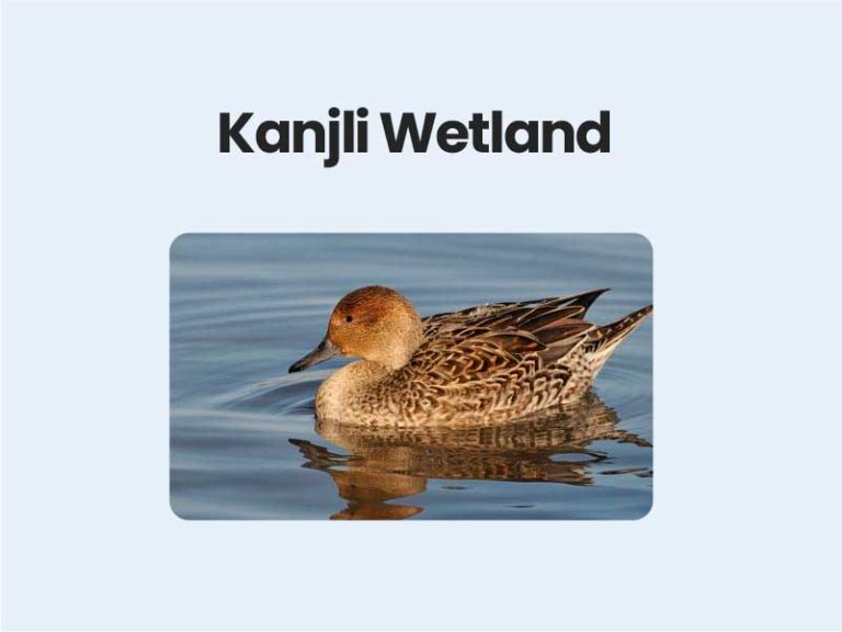 Kanjli Wetland UPSC