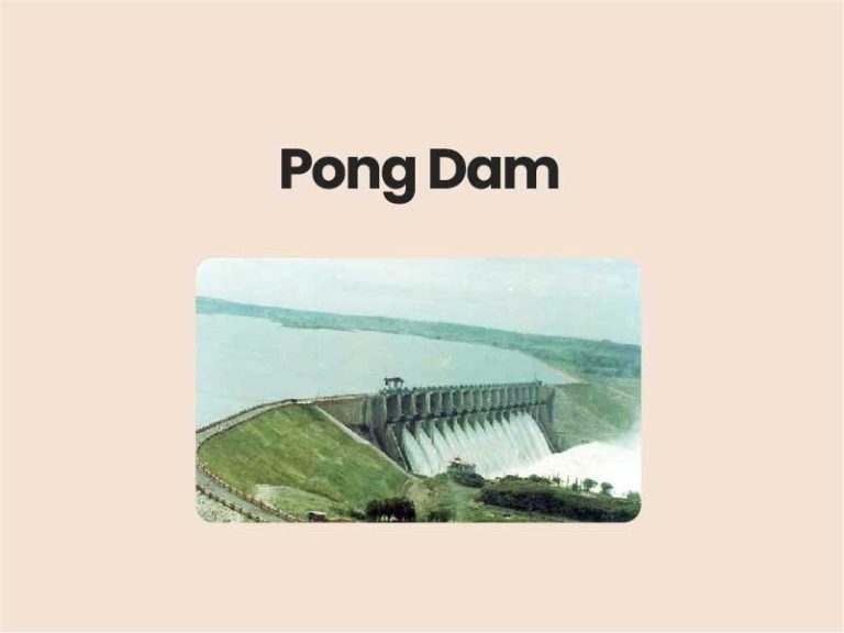 pong dam UPSC