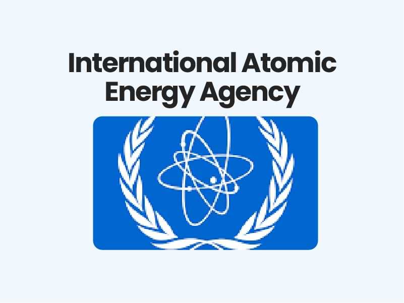 International Atomic Energy Agency