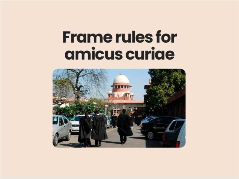 Frame rules for amicus curiae