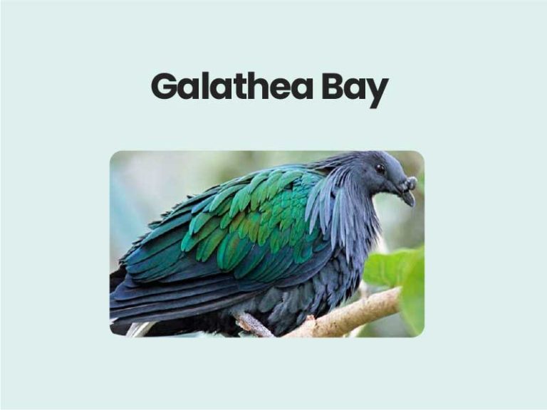 Galathea Bay UPSC