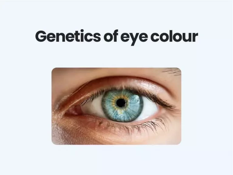 Genetics of eye colour