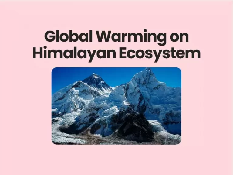 Impact of Global Warming on Himalayan Ecosystem