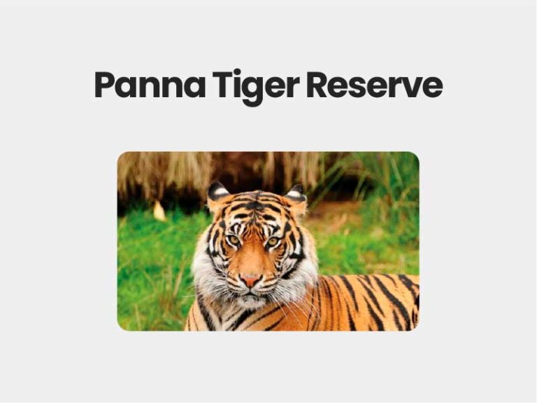 Panna Tiger Reserve