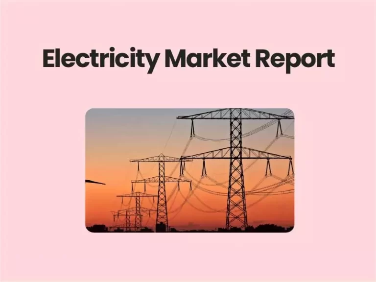 Electricity Market Report