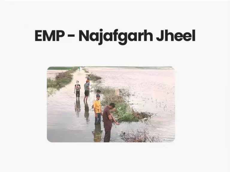 Environment Management Plan for Najafgarh Jheel