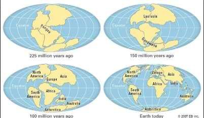 Factors supporting continental drift