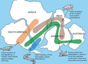 Mains answer Writing - The theory of continental drift