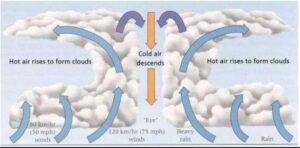 Tropical Cyclone formation