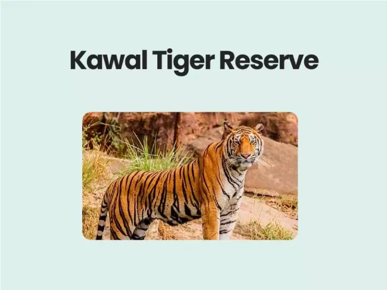 Kawal Tiger Reserve