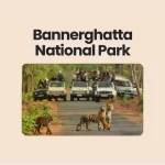 Bannerghatta National Park