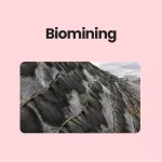 Biomining