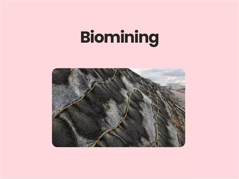 Biomining