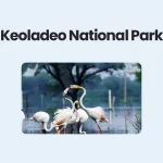 Keoladeo National Park