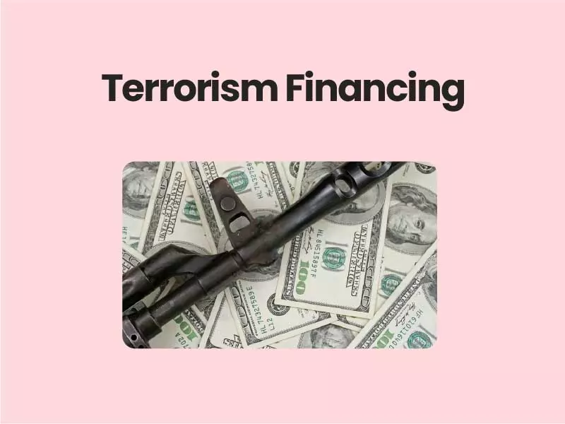 Terrorism Financing